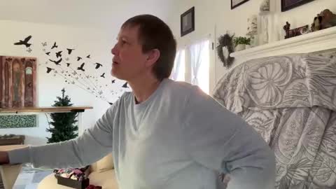 Aurora Willows online show from January 9, 4:43 pm