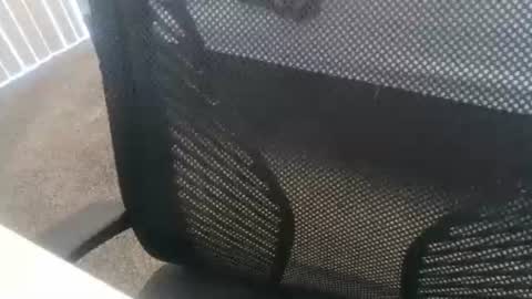 1chris505 online show from January 2, 6:01 pm