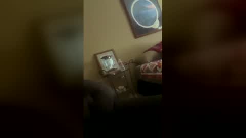 Snapshot of 1damnitdusty chatting on December 14, 8:02 pm 1damnitdusty online show from December 14, 8:02 pm