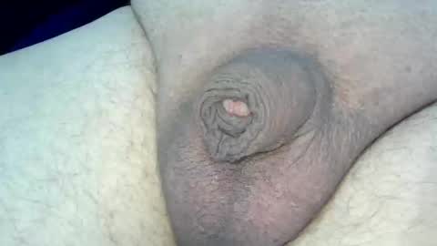 MICA online show from January 31, 11:25 pm