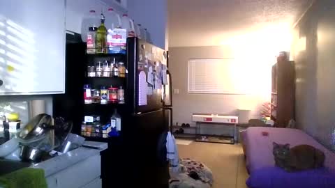 Snapshot of 2gorls1link chatting on December 31, 3:31 pm 2girls1link online show from December 31, 3:31 pm