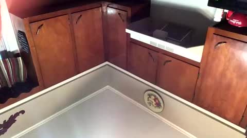 33adidas online show from November 8, 11:54 am