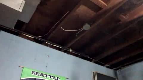 33adidas online show from November 9, 12:25 pm