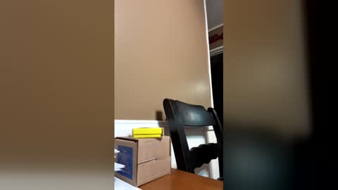 33adidas online show from December 23, 9:07 am