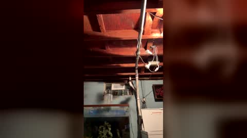 33adidas online show from March 26, 8:20 am