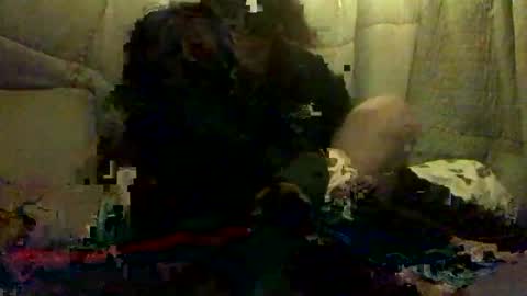 420alwayshard online show from April 19, 11:31 am