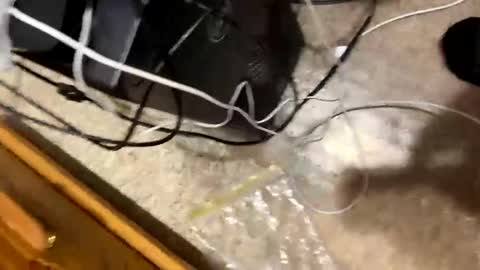 Snapshot of 420bbwadmirer chatting on January 4, 3:17 pm 420bbwlover online show from January 4, 3:17 pm