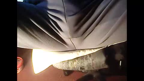 4guy200 online show from November 23, 12:10 am