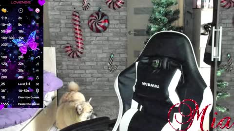 Mia my pvt is open and lovense is active online show from December 23, 8:11 am