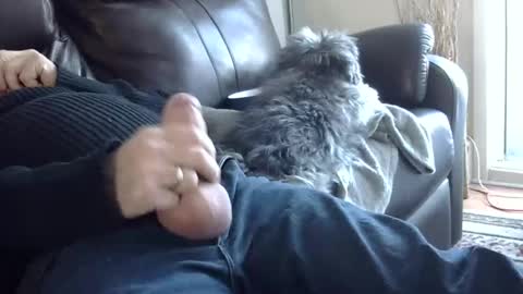 Snapshot of 66bear chatting on March 2, 10:05 pm 66bear online show from March 2, 10:05 pm