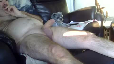 Snapshot of 66bear chatting on October 5, 11:41 am 66bear online show from October 5, 11:41 am