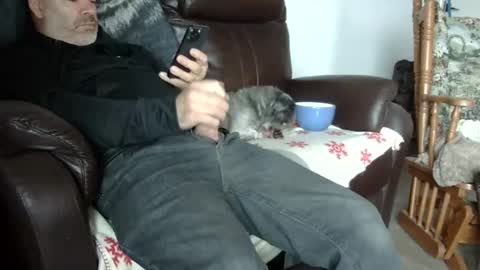 Snapshot of 66bear chatting on October 31, 5:47 pm 66bear online show from October 31, 5:47 pm