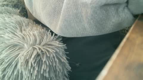 Snapshot of 6969jm chatting on December 1, 5:57 pm 6969jm online show from December 1, 5:57 pm