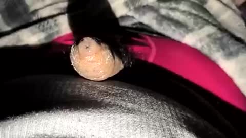 69angel96 online show from December 23, 6:33 am