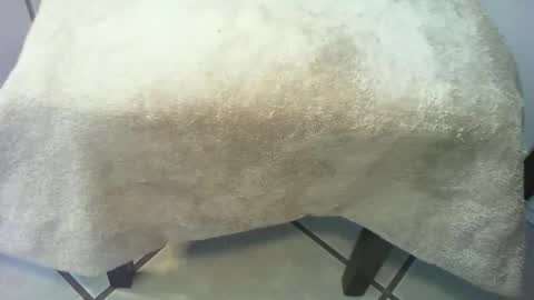 69forever453443 online show from March 15, 2:56 pm