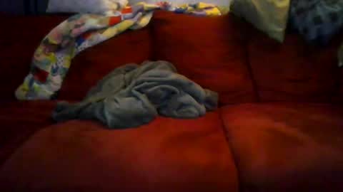 77steve7777 online show from December 18, 11:16 am