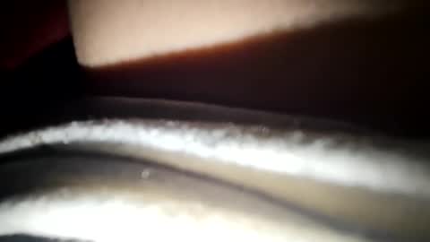 Snapshot of 88porterj chatting on March 22, 4:38 am JC online show from March 22, 4:38 am