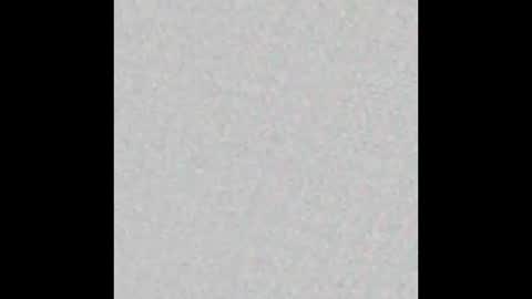 8Inchpunkpup online show from March 27, 7:57 pm