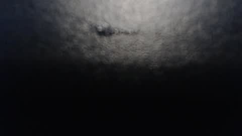 Anne online show from January 10, 9:20 pm