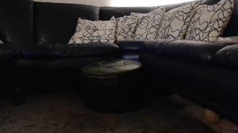 Snapshot of _b0rn4porn_ chatting on September 11, 12:00 am b0rn4porn online show from September 11, 12:00 am