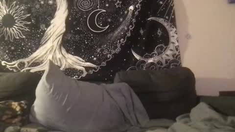 Snapshot of _bandit_b0y chatting on February 20, 5:01 am bandit online show from February 20, 5:01 am