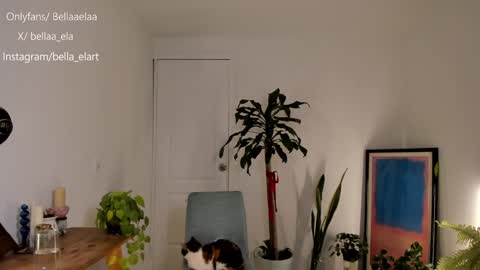 Snapshot of _bellaela chatting on December 10, 12:50 am Ella online show from December 10, 12:50 am