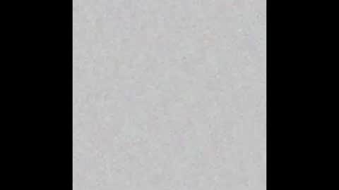 Brenda online show from February 18, 12:28 pm