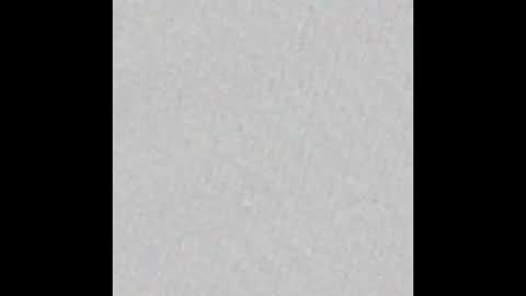 Brenda online show from September 13, 10:15 am