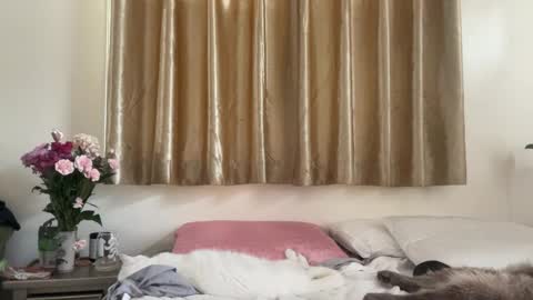 Snapshot of _chelsea___ chatting on February 16, 9:16 pm Chelsea xo online show from February 16, 9:16 pm