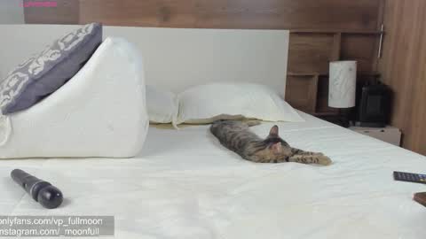  fullmoon online show from March 21, 7:28 pm