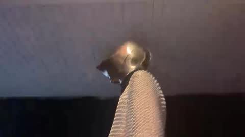 Snapshot of _goodknight chatting on February 3, 5:07 am GOODKNIGHT online show from February 3, 5:07 am