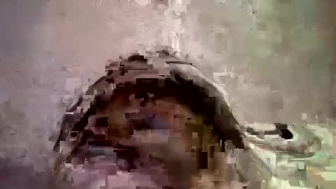 Snapshot of _hershey003 chatting on January 11, 8:33 am _hershey003 online show from January 11, 8:33 am