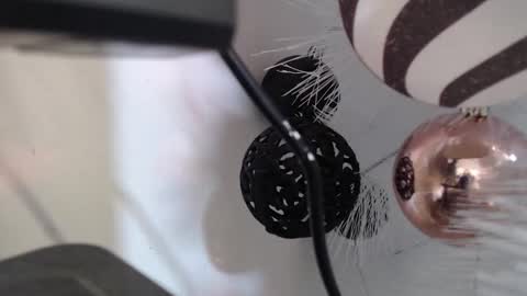 Snapshot of _kat_sweet chatting on December 2, 3:12 am Cata online show from December 2, 3:12 am