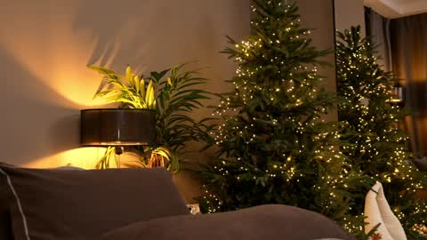 FANSLY ---   anal in private 700 tokens online show from November 30, 6:12 pm