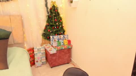Snapshot of _little_ivy chatting on December 14, 5:07 am Ivy 3 online show from December 14, 5:07 am