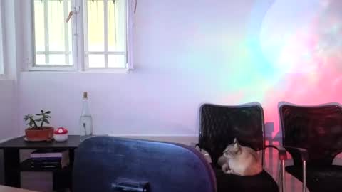 _lunablondie_ online show from August 5, 2:31 pm
