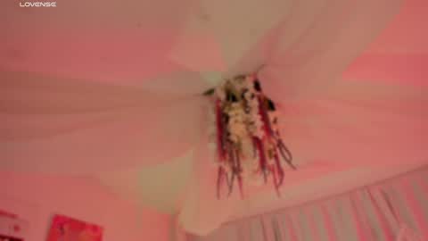 Snapshot of _mers chatting on December 21, 7:45 am       Telegram Channel channelofmers Subscribe schedule 600 am 1200 am Colombia time online show from December 21, 7:45 am