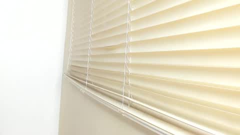 _molly_rosse_ online show from November 21, 11:53 am