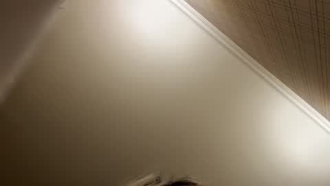 Snapshot of _morpho_ chatting on December 21, 8:49 pm Francine Aisi Morpho - a genus of blue butterflies. online show from December 21, 8:49 pm