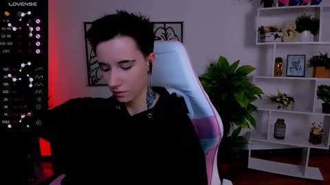 Rein online show from February 14, 12:36 pm