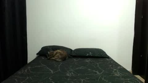 Snapshot of _sofiaparker_ chatting on November 10, 7:18 am Sofia Parker online show from November 10, 7:18 am