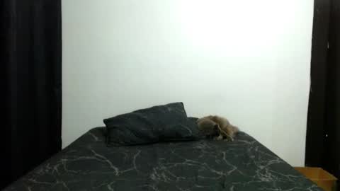 Snapshot of _sofiaparker_ chatting on November 13, 3:55 pm Sofia Parker online show from November 13, 3:55 pm