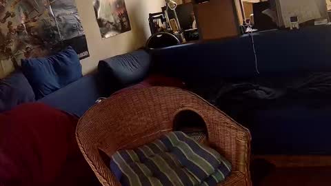 Sven online show from October 30, 1:23 pm