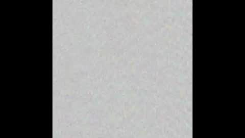 _tammarra_ online show from January 6, 12:31 pm