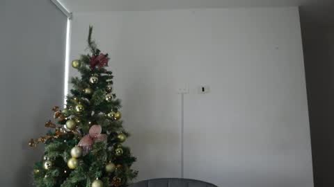 Snapshot of _vahos chatting on December 30, 5:44 pm Anastasia Vahos online show from December 30, 5:44 pm