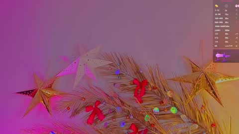 Snapshot of a1ly chatting on December 23, 2:07 pm Ally online show from December 23, 2:07 pm