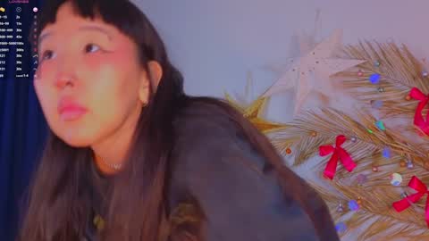 Snapshot of a1ly chatting on December 29, 3:24 pm Ally online show from December 29, 3:24 pm