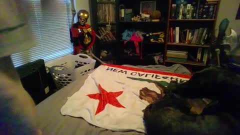 A Bored Dragon online show from March 11, 3:56 pm