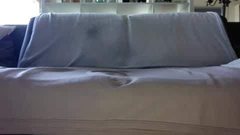 a_nice_dick_77 online show from April 16, 7:31 am