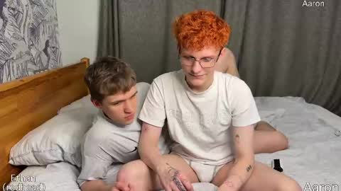 Aaron and Ethan online show from April 22, 10:11 pm